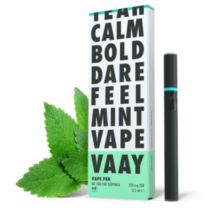 Der VAAY Diffuser Pen Mint mit Minzgeschmack in unserem Testbericht.